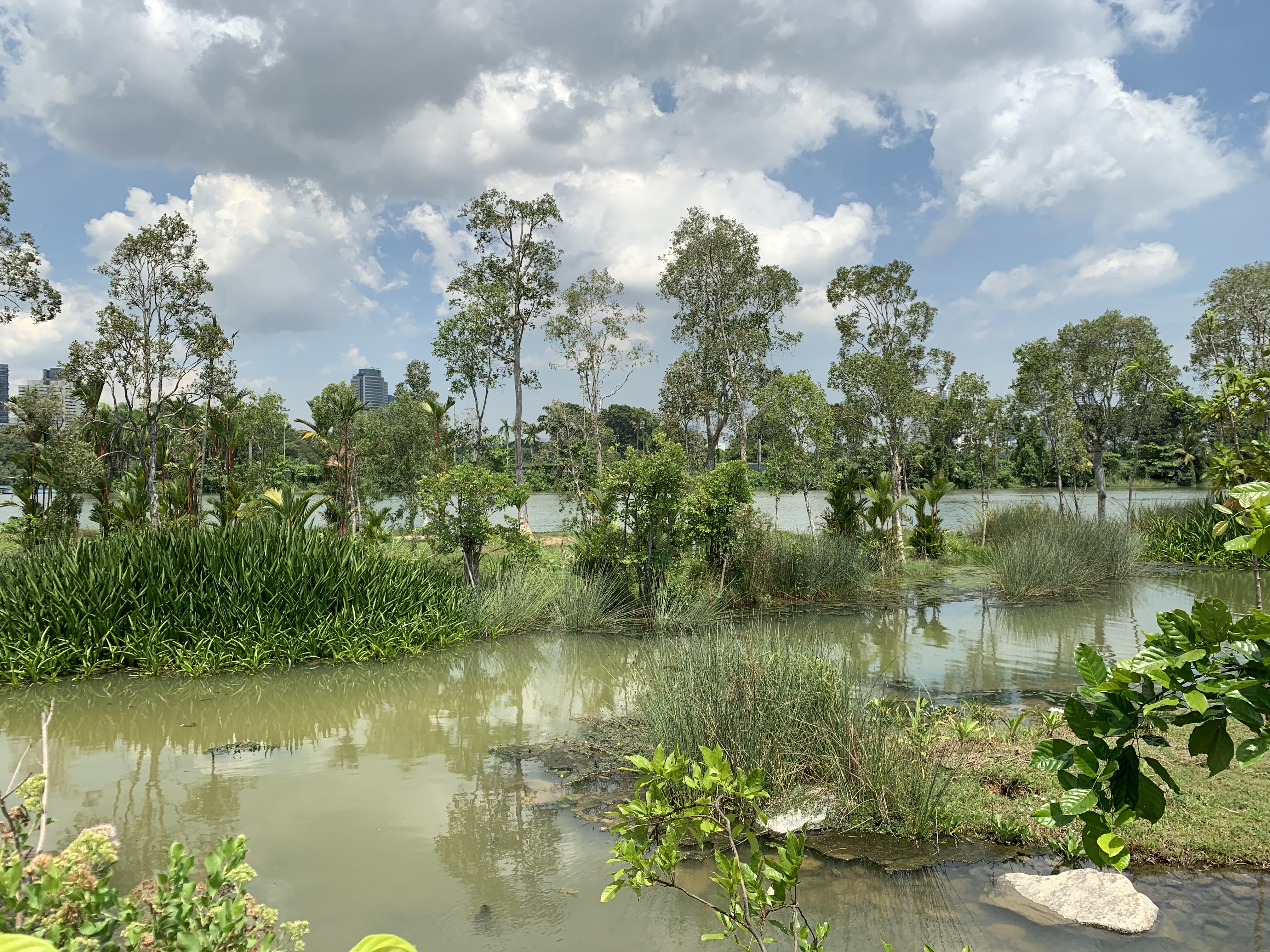 Jurong West Lake Park_2